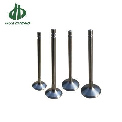 Car Parts Intake and Exhaust Valve Engine for V/W Ea888