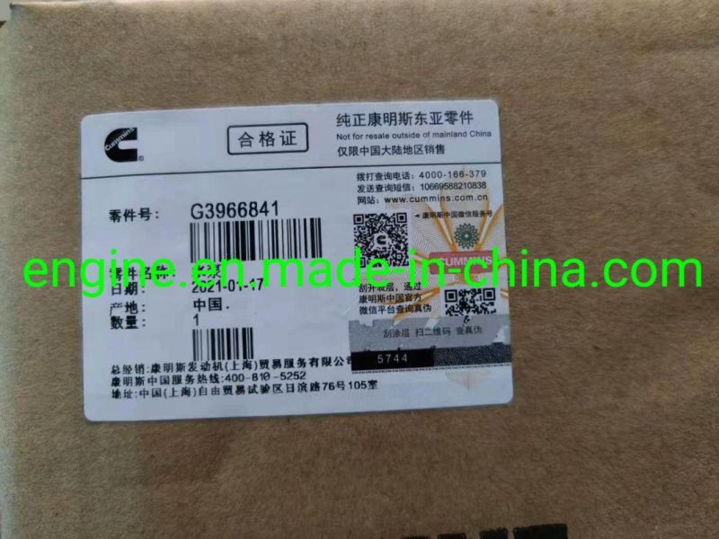 Original 6CT Water Pump 3966841 4309478 3800974 3285323 3802973 3907808