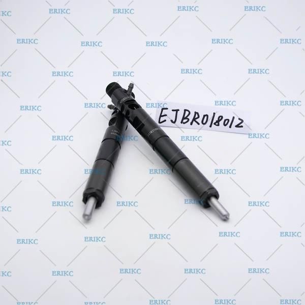 Diesel Injector Ejbr01801z Delphi Fuel Nozzle Ejb R01801z Spray Ejbr0 1801z for Renault 8200049873