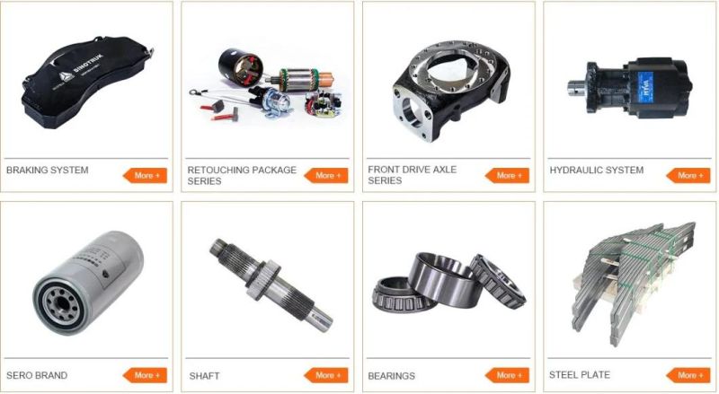 Wholesale Price Filter Manufacturer Sinotruk HOWO Truck Engine Parts Vg1092080009 Fuel Filter for Sale