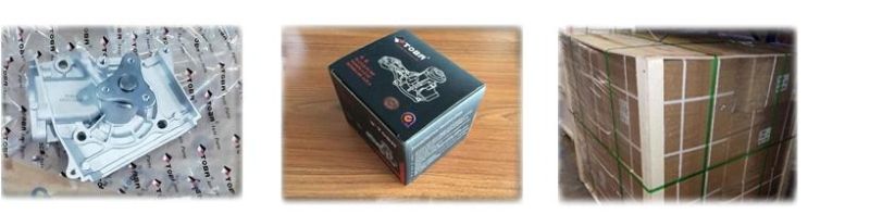 Good Price Car Accessories Engine Parts HYUNDAI Water Pumps 25100-26015