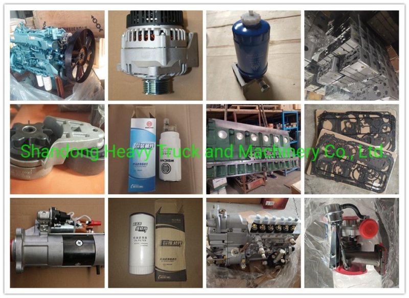 Brand New Cheap Price Shacman Engine Starter