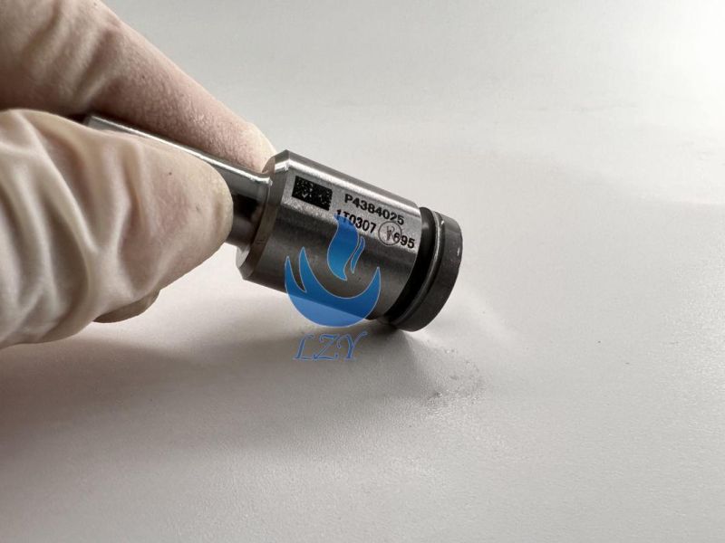 Diesel Engine Parts - Fuel Nozzle P4384025