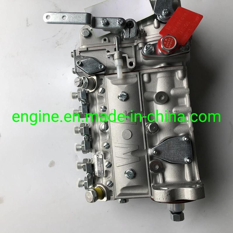 6bt5.9-G1 Engine Fuel Injection Pump 3976801