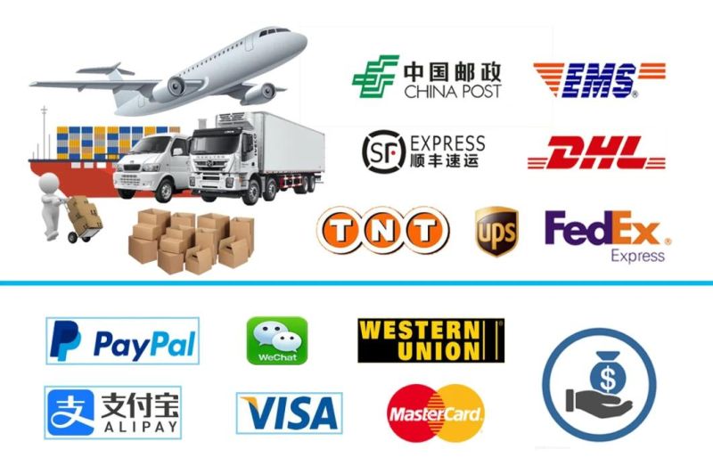 Car Spare Parts Electronic Fuel Pump for Wuling Rongguang N300 (24546376)