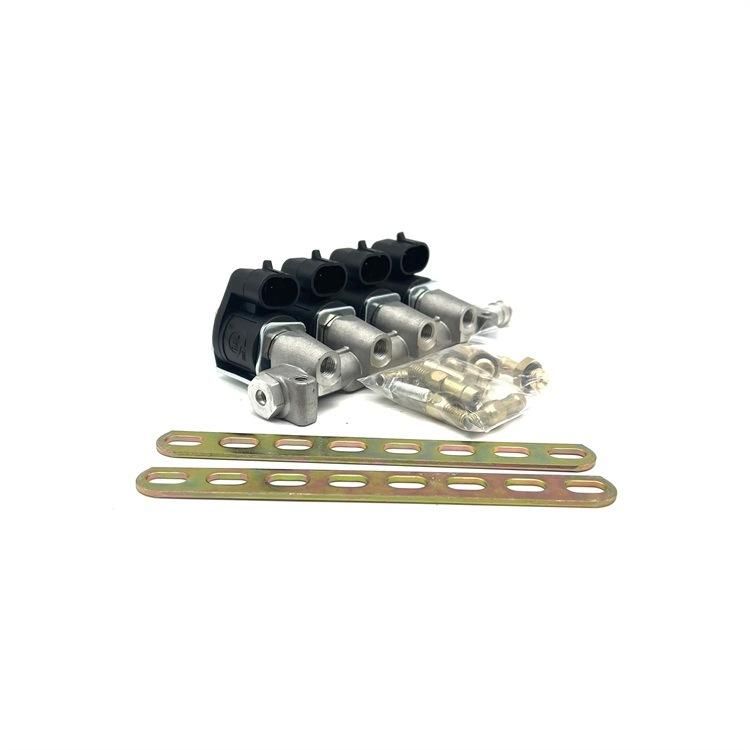 Sequential LPG Motorcycle Parts Lr 2/3 Ohm CNG Injector Rail Kit for Other Auto Oil/Gas Conversion Engine Rail Parts Kit