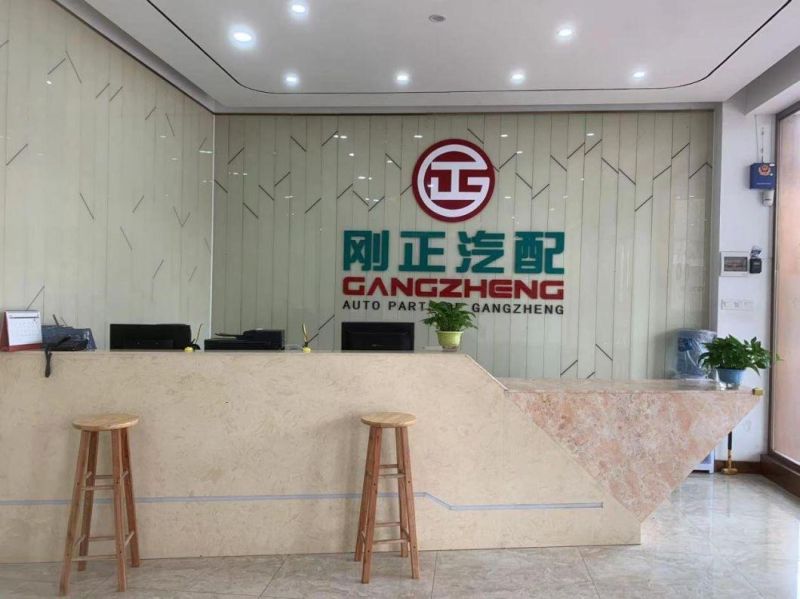 Electronic Fuel Pump Assembly for Changan MD201