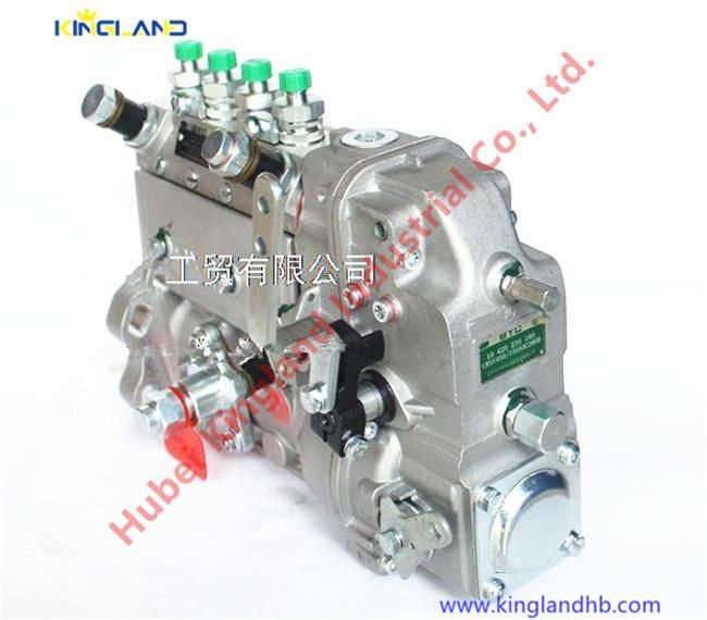 Diesel Engine Parts 4bt3.9-G1 Fuel Injection Pump Byc Cpes6a95D320/3RS2162 Dcec 4946526