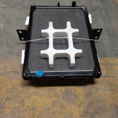 Radiator Wg9725530150 for Sinotruck HOWO Iron