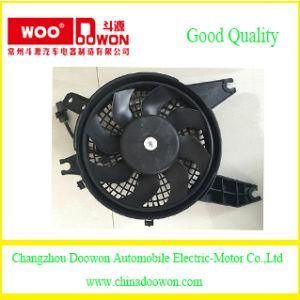 Doowon Auto Parts for Hyundai Terracan 97643-H1600 DC 12V Radiator Cooling Fan