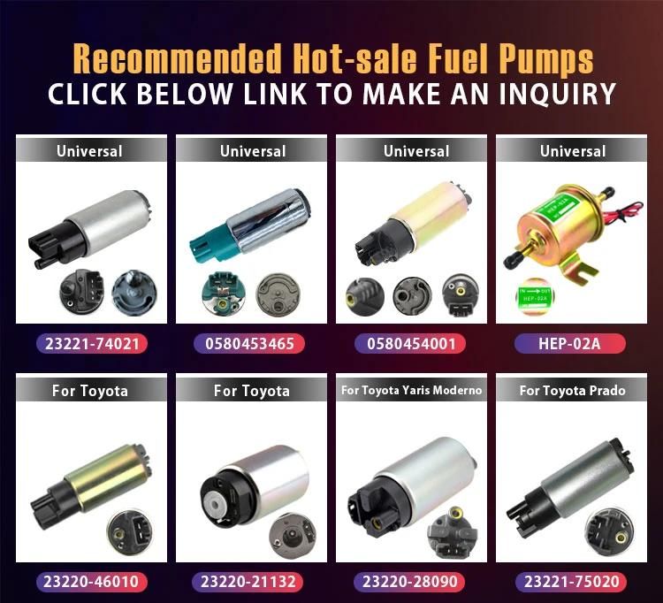 Car Parts New Fuel Pump for Seat VW OEM 1h0906091