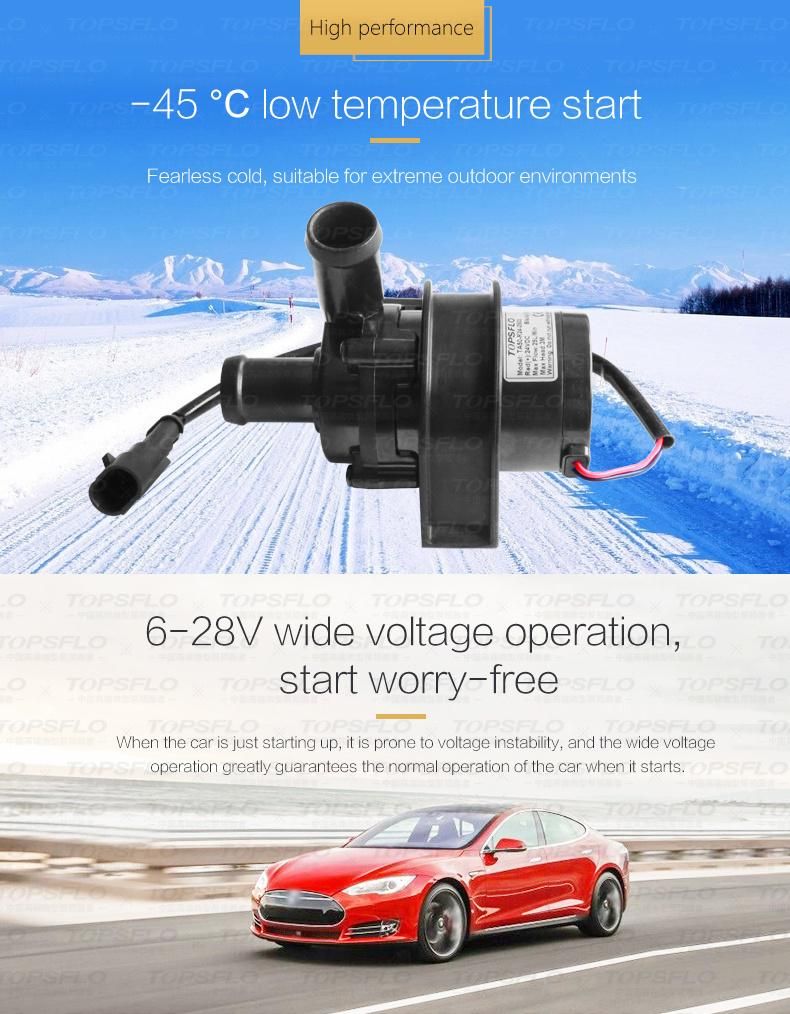12V 24V DC Brushless Car Engine Pre-Heating Pump