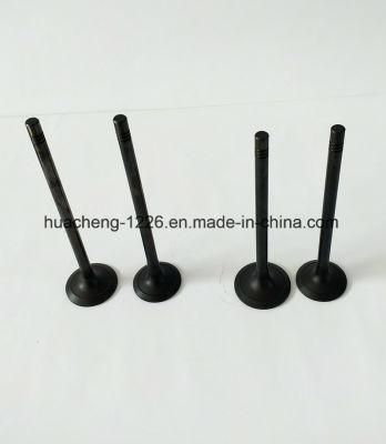 Diesel Parts HOWO Engine Valve Hfd10L