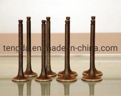 High Level Car Spare Parts Inlet Exhaust Engine Valve for M30 F30