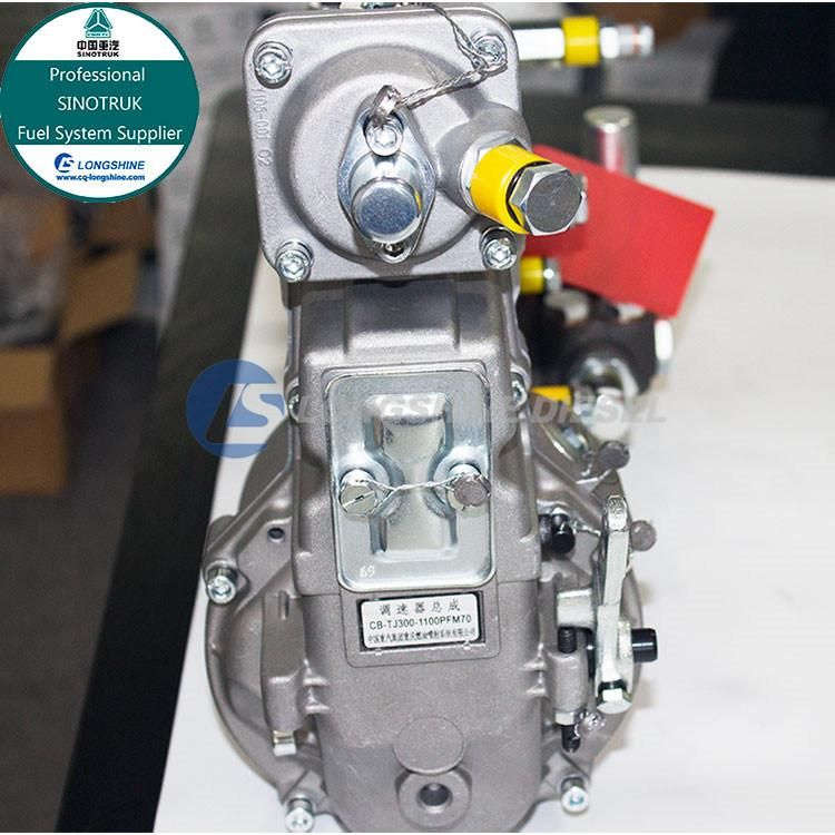 High Quality Original HOWO Sinotruk Injection Pump Vg1560080022