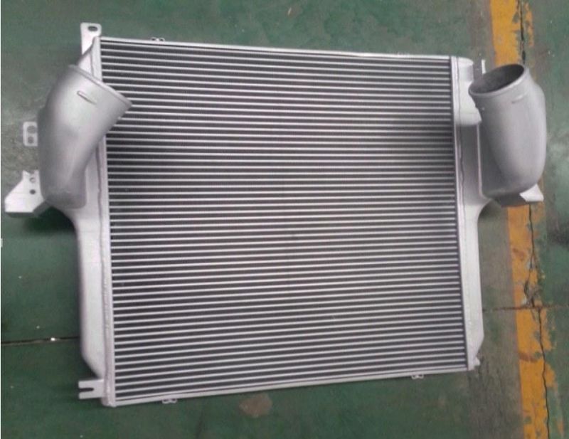 OEM 9425010201 9425011001 Truck Intercooler 96972 Actros for Benz