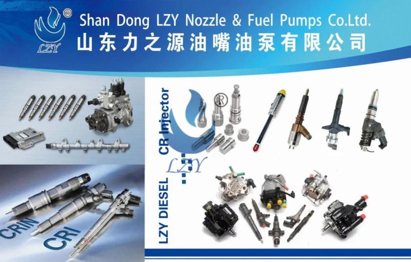 Diesel Engine Parts Fuel Injection Nozzle Dlla160sm080