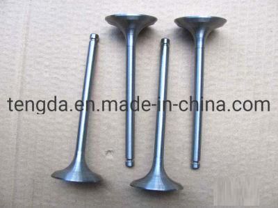 OEM Quality Nitrided High Temperature Resistance Auto Intake and Exhaust Engine Valve