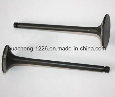 Diesel Engine Valve for Caterpillar S6K