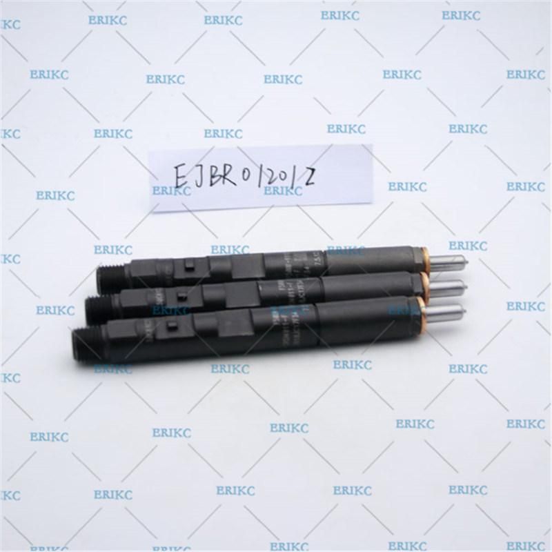 Erikc Fuel Injector Ejbr0 1201z Common Rail Delphi Injector for Nissan Micra Ejbr01201z OEM Ejb R01201z Diesel Intection