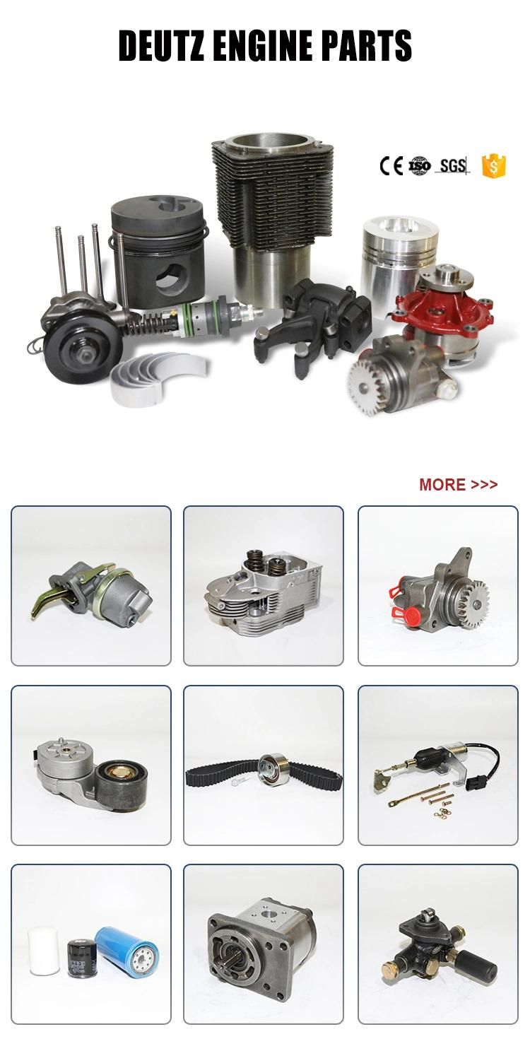 Deutz Engine Parts-Fuel Pump Bfm2012