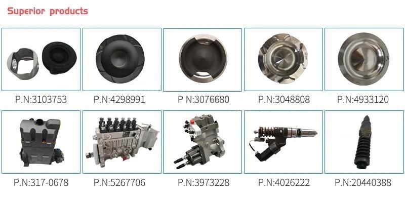 Dcec 6CT8.3 Engine Parts for Fuel Injection Pump 3973900