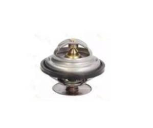 Car Parts Engine Coolant Thermostat for All Car OEM 70011316
