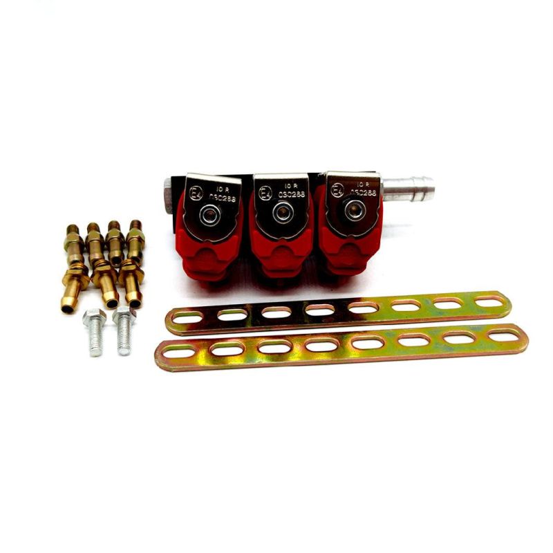 Llano Red 3 Cylinder CNG LPG Injector Rail Ln-Lvtk03 for Multi Point Sequential Fuel Injection System