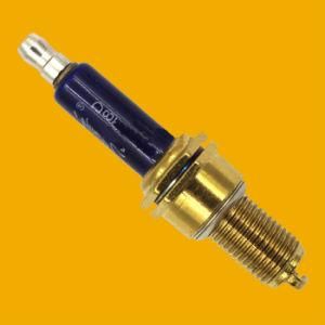 Hot Selling Motorcycle Spark Plug for CB125s Motorcycle Engine