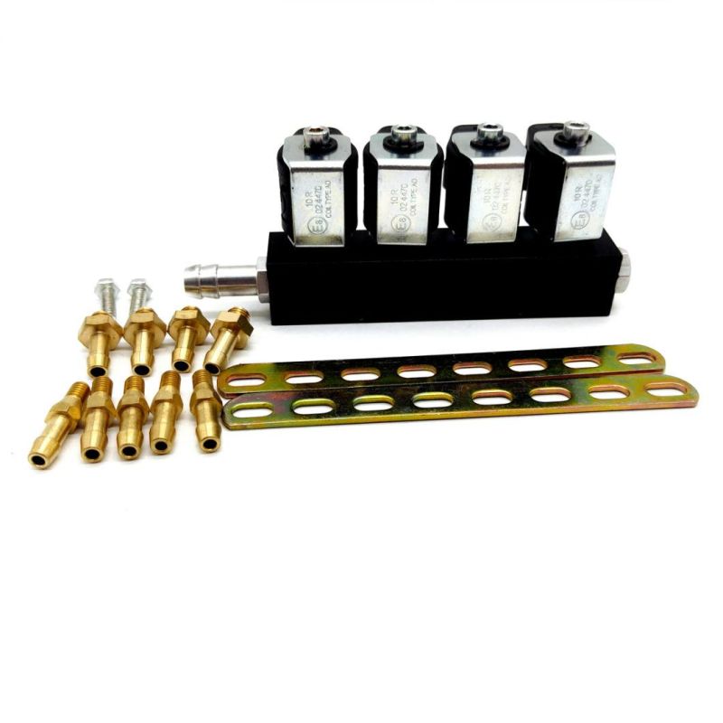Llano 3 Ohm Resistance Ln-Lig1s Injector Rail for Fuel Injection System