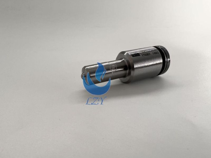 Diesel Engine Parts - Fuel Nozzle P2872321