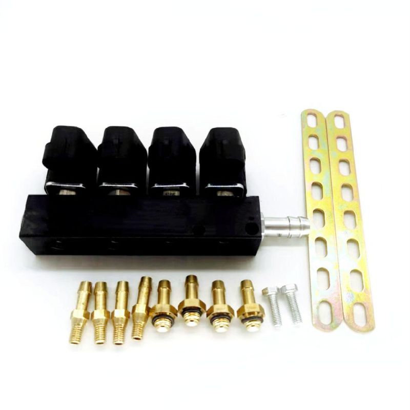 Llano Black 3ohm 4 Cylinder CNG LPG Injector Rail Ln-Ig1s for Gnv LPG Kit Made in China