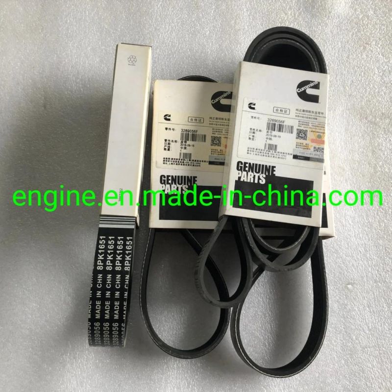 Genuine Diesel Engine Drive Belt 8pk1651 3911577 3289056 for Qsb5.9