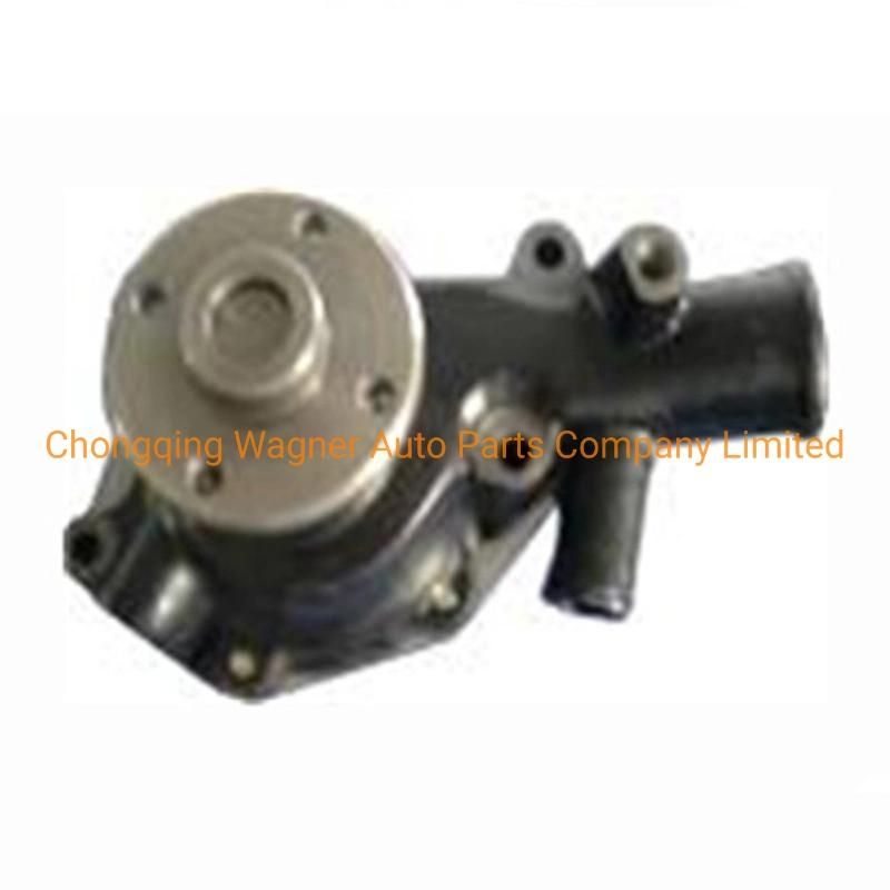 Auxiliary Universal Car D16mm12V Water Pump for Isuzu