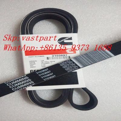 M11 Qsm11 ISM11 Engine V Belt 3103697 8pk1625