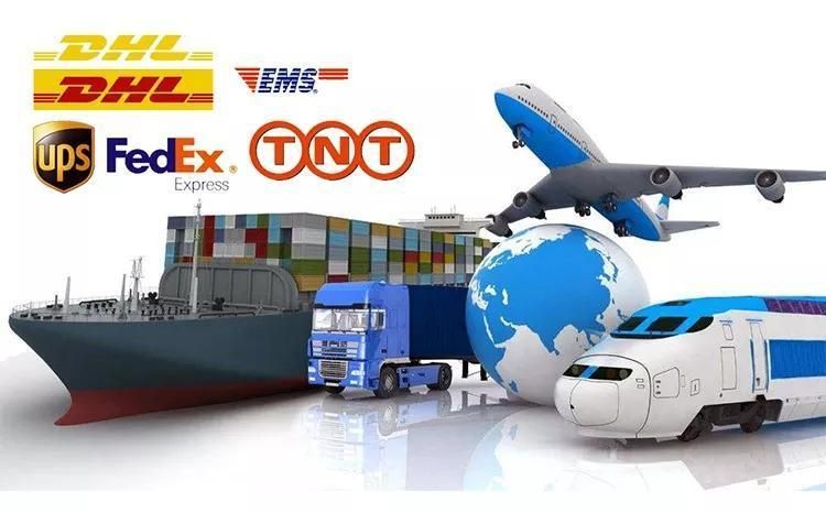 Auto Parts Starter Motor Excavator Starter Car Starter S3l2 M1t68281