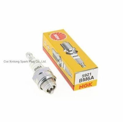Chainsaw Cut off Saw Lawnmower Spark Plug Ngk Bm6a Champion Cj6 Ws8e Ws7e Ws8e Torch L6c