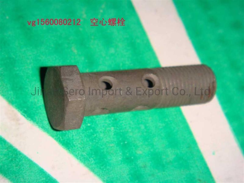 Sinotruk HOWO 371 Truck Spare Parts Engine Parts Hollow Bolt Vg1560080212