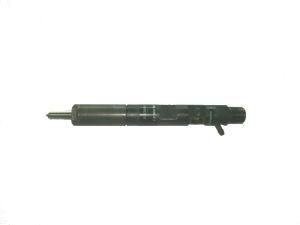 Delphi Common-Rail Ejbr05301d Injector (EJBR05301D)