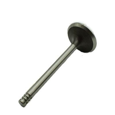 Engine Valve Intake Valve 028109601b for VW Caddy-2 Passat Vento 1.9d (1Y - AAZ)