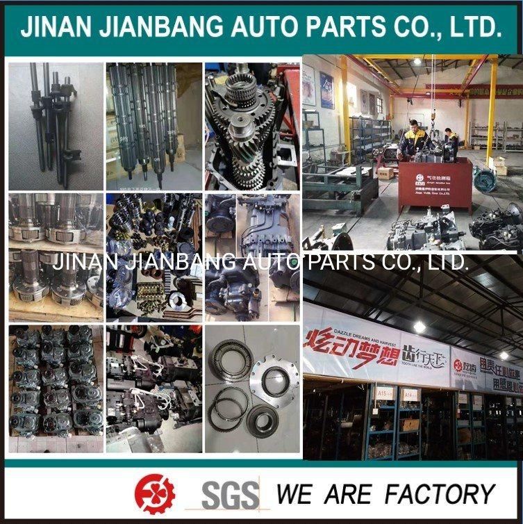 HOWO Shacman FAW Foton Beiben Camc Dfm Truck Spare Parts Engine Parts Injector
