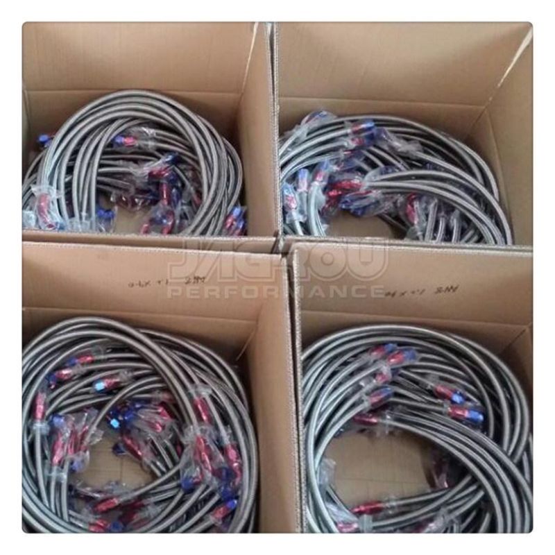 Stainless Steel Braided Oil Hose An10 with Fittings