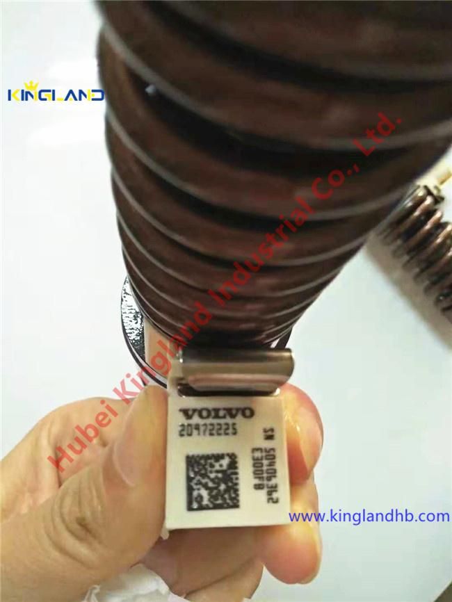 Auto Excavator Truck Diesel Engine Parts Delphi Volvo Fuel Injector Assembly Bebe4d16001 20972225