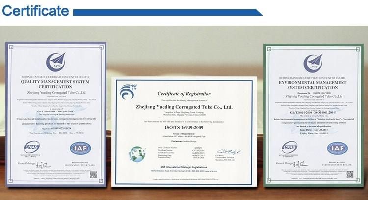 Car Stainless Steel Flexible Systems