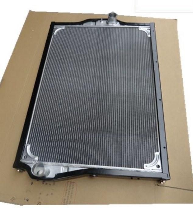 Dongfeng Dfl3251 Dfl4251 Truck Radiator 1301zb6-010