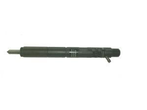Delhpi Injector (EJBR03301D)