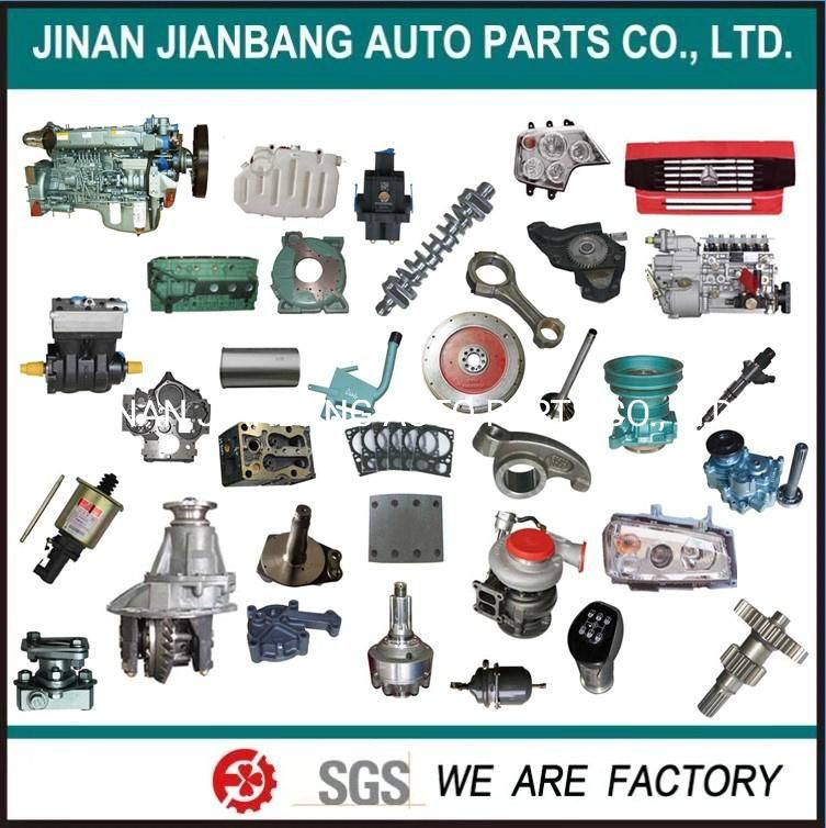 HOWO Shacman FAW Foton Beiben Camc Dfm Truck Spare Parts Engine Parts Injector