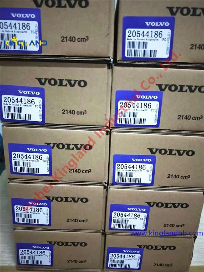 Auto Excavator Truck Diesel Engine Parts Delphi Volvo Fuel Injector Assembly Bebe4c04001/04101 Eui 20544186