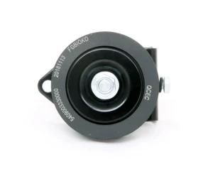 China-Pulley-Auto-Accessory-Belt-Tensioner-for-Engine-Truck-5409003330000