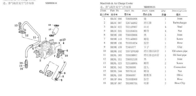 Auto Accessories Auto Sparepart Coolant Bypass Hose
